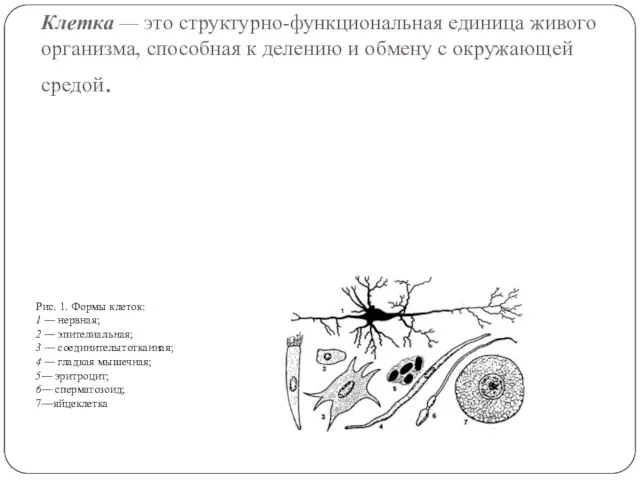 Клетка — это структурно-функциональная единица живого организма, способная к делению