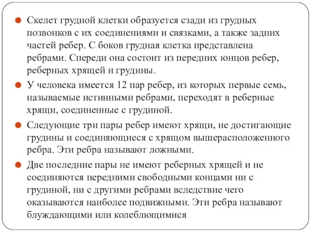 Скелет грудной клетки образуется сзади из грудных позвонков с их