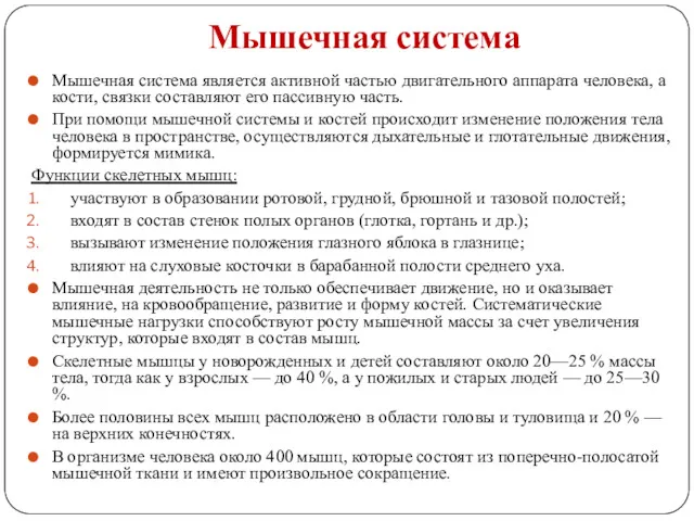 Мышечная система Мышечная система является активной частью двигательного аппарата человека,