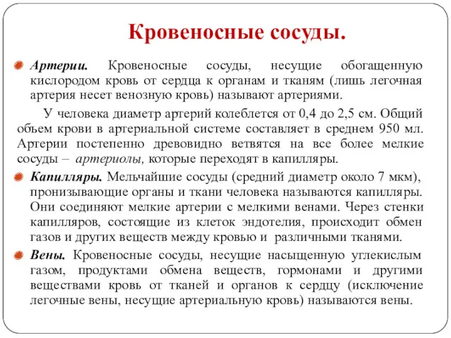 Кровеносные сосуды. Артерии. Кровеносные сосуды, несущие обогащенную кислородом кровь от