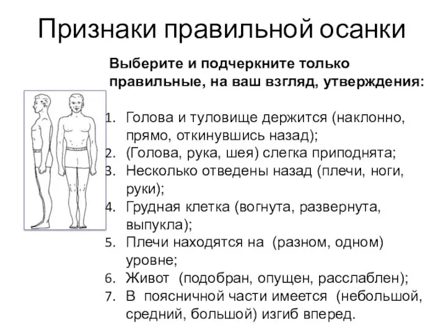 Признаки правильной осанки Выберите и подчеркните только правильные, на ваш