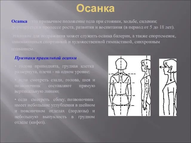 Осанка Осанка - это привычное положение тела при стоянии, ходьбе,