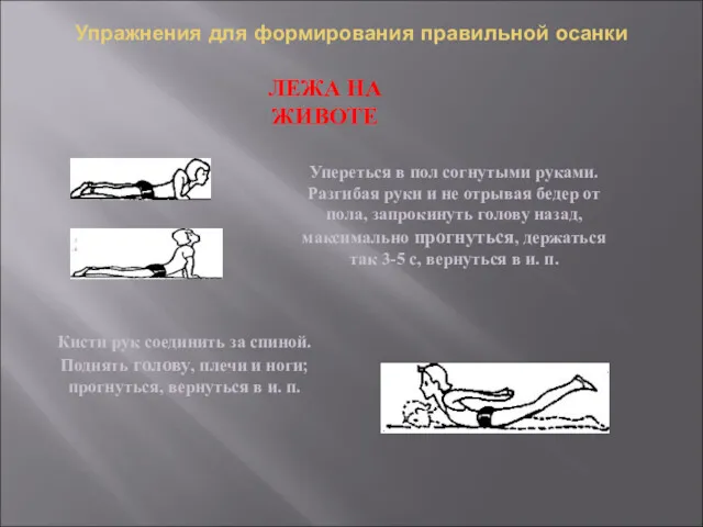 Упражнения для формирования правильной осанки ЛЕЖА НА ЖИВОТЕ Упереться в