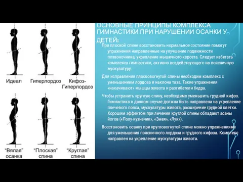 ОСНОВНЫЕ ПРИНЦИПЫ КОМПЛЕКСА ГИМНАСТИКИ ПРИ НАРУШЕНИИ ОСАНКИ У ДЕТЕЙ: При