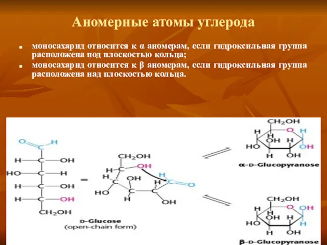 Аномерные атомы углерода моносахарид относится к α аномерам, если гидроксильная