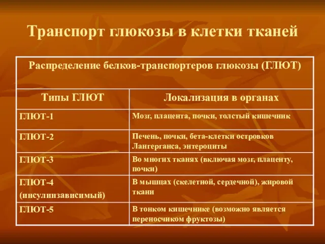 Транспорт глюкозы в клетки тканей