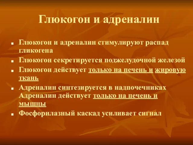 Глюкогон и адреналин Глюкогон и адреналин стимулируют распад гликогена Глюкогон