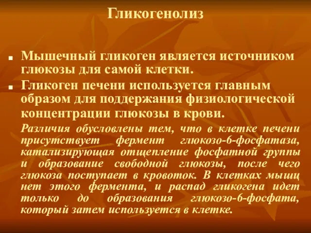 Гликогенолиз Мышечный гликоген является источником глюкозы для самой клетки. Гликоген