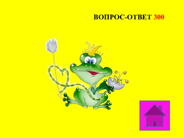 ВОПРОС-ОТВЕТ 300