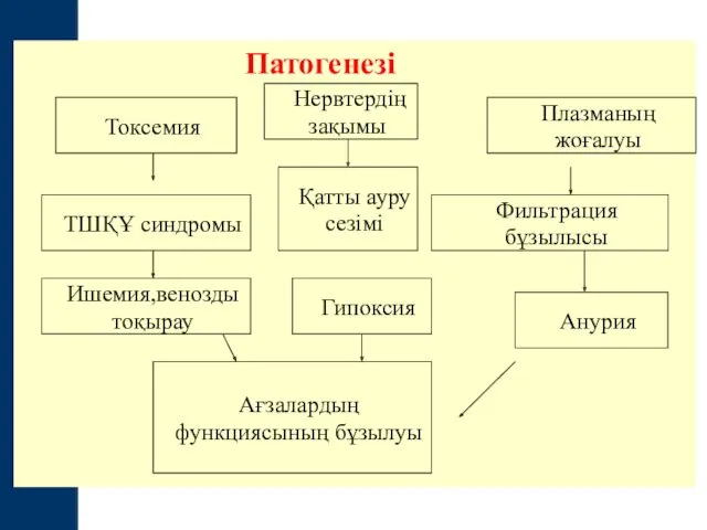 Патогенезі Токсемия Плазманың жоғалуы ТШҚҰ синдромы Ишемия,венозды тоқырау Ағзалардың функциясының