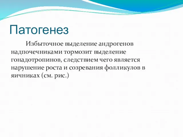 Патогенез Избыточное выделение андрогенов надпочечниками тормозит выделение гонадотропинов, следствием чего