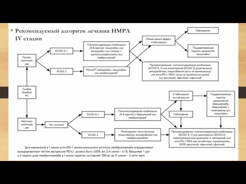 Рекомендуемый алгоритм лечения НМРЛ IV стадии