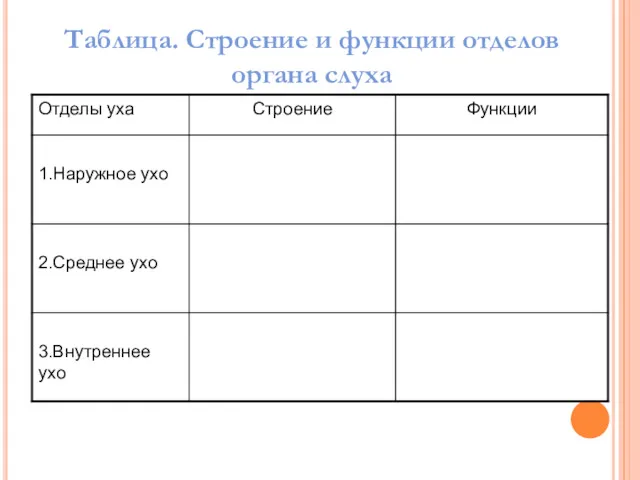 Таблица. Строение и функции отделов органа слуха