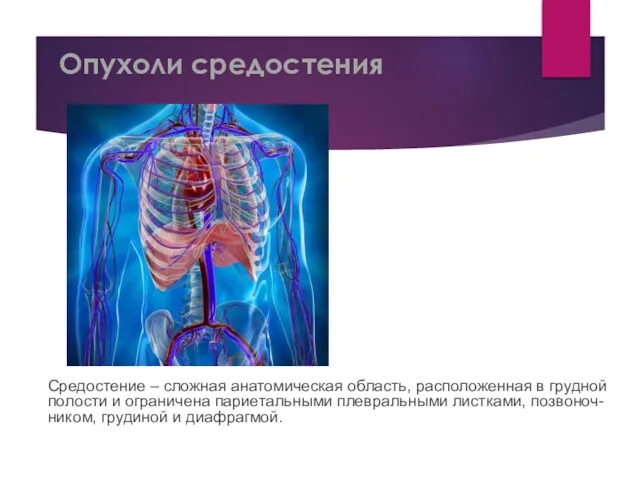 Опухоли средостения Средостение – сложная анатомическая область, расположенная в грудной полости и ограничена