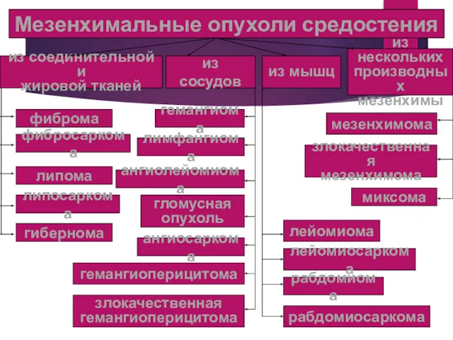 Мезенхимальные опухоли средостения из соединительной и жировой тканей из сосудов