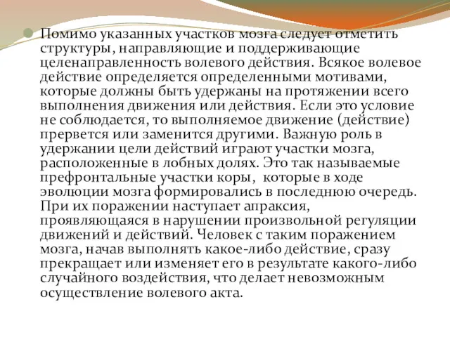 Помимо указанных участков мозга следует отметить структуры, направляющие и поддерживающие