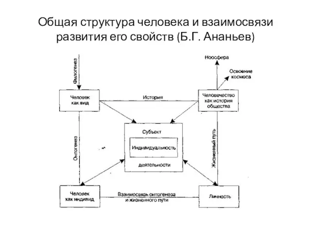 Общая структура человека и взаимосвязи развития его свойств (Б.Г. Ананьев)