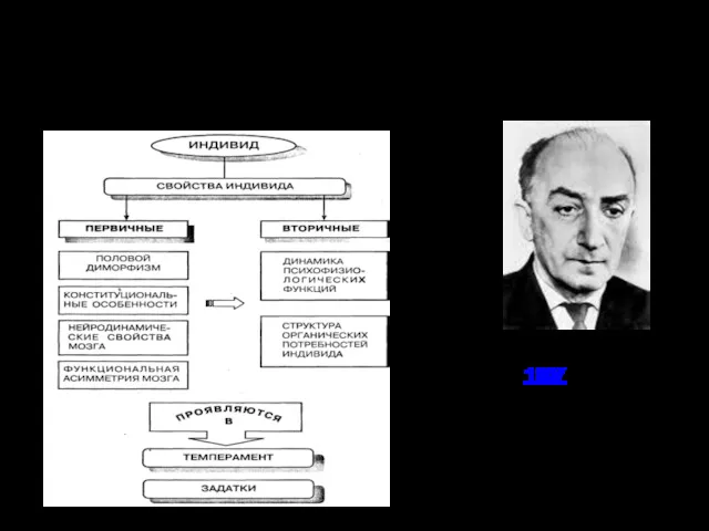 Структура понятия «индивид» (по Б. Г. Ананьеву) (1 августа 19071 августа 1907 -18 мая 1972)