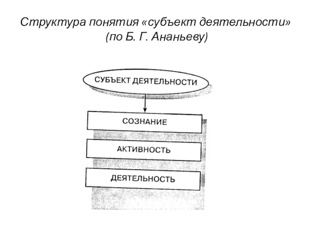Структура понятия «субъект деятельности» (по Б. Г. Ананьеву)