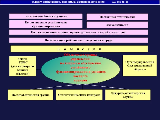 КАФЕДРА УСТОЙЧИВОСТИ ЭКОНОМИКИ И ЖИЗНЕОБЕСПЕЧЕНИЯ тел. 575 48 02 Объектовые органы управления, по