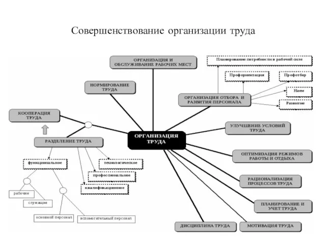 Совершенствование организации труда