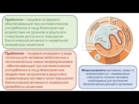 Пребиотик – пищевой ингредиент, обеспечивающий при систематическом употреблении в пищу благоприятное воздействие на