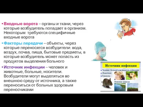 Входные ворота – органы и ткани, через которые возбудитель попадает в организм. Некоторым