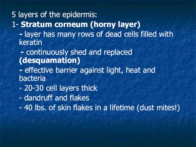 5 layers of the epidermis: 1- Stratum corneum (horny layer) - layer has