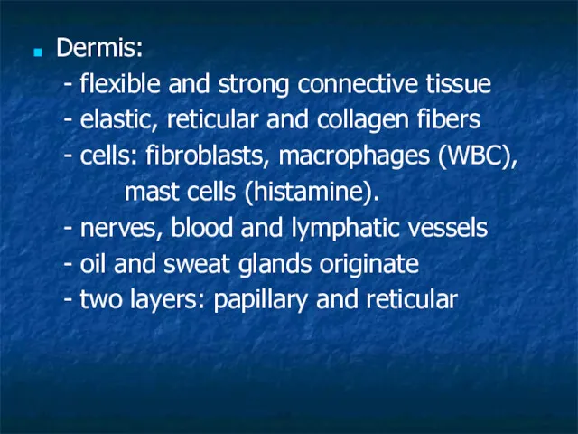 Dermis: - flexible and strong connective tissue - elastic, reticular