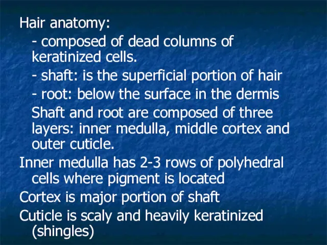 Hair anatomy: - composed of dead columns of keratinized cells. - shaft: is