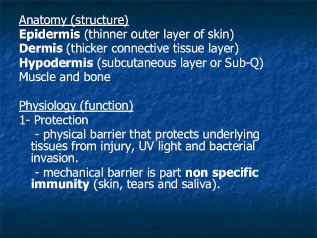 Anatomy (structure) Epidermis (thinner outer layer of skin) Dermis (thicker