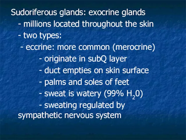 Sudoriferous glands: exocrine glands - millions located throughout the skin - two types: