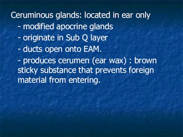 Ceruminous glands: located in ear only - modified apocrine glands