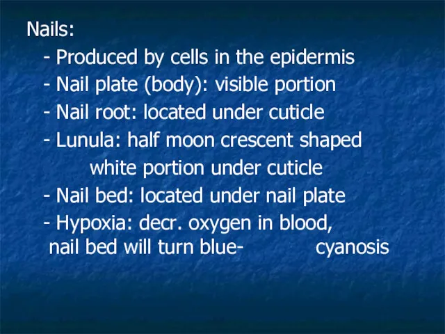 Nails: - Produced by cells in the epidermis - Nail