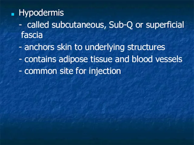 Hypodermis - called subcutaneous, Sub-Q or superficial fascia - anchors skin to underlying