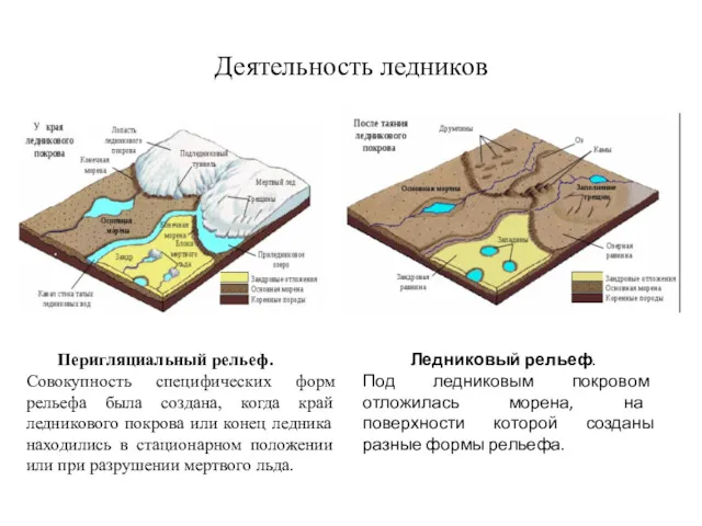 Деятельность ледников Перигляциальный рельеф. Совокупность специфических форм рельефа была создана,