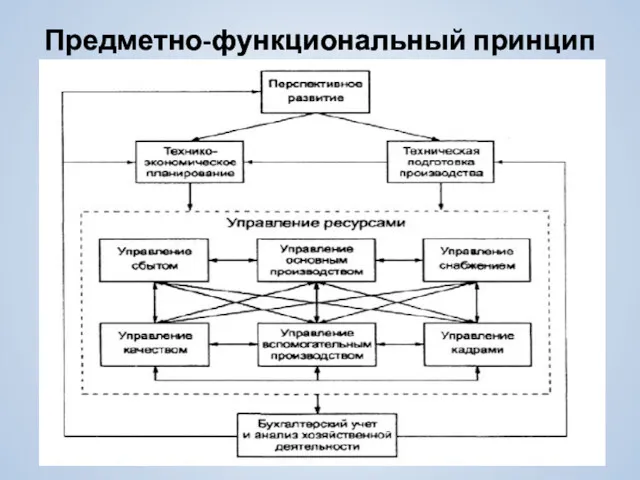 Предметно-функциональный принцип