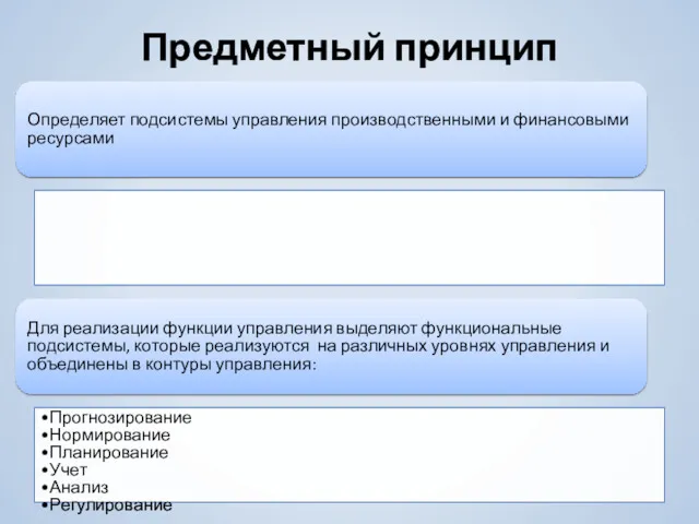 Предметный принцип Определяет подсистемы управления производственными и финансовыми ресурсами Для