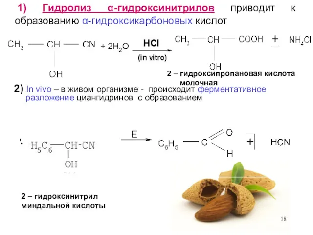 1) Гидролиз α-гидроксинитрилов приводит к образованию α-гидроксикарбоновых кислот + 2H2O 2 – гидроксипропановая