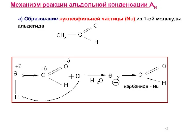 Механизм реакции альдольной конденсации AN а) Образование нуклеофильной частицы (Nu) из 1-ой молекулы
