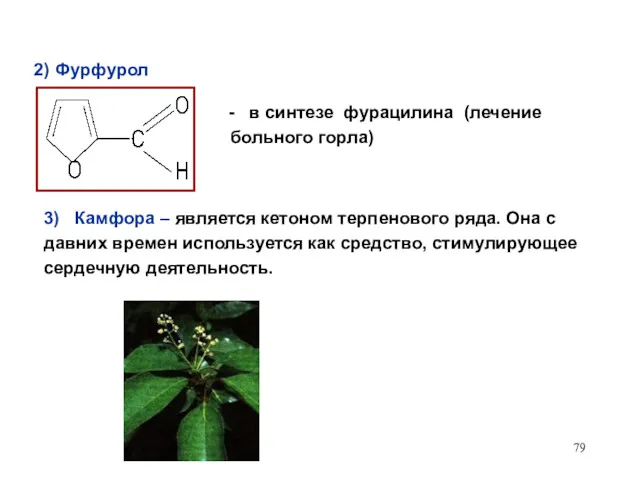 2) Фурфурол в синтезе фурацилина (лечение больного горла) 3) Камфора – является кетоном