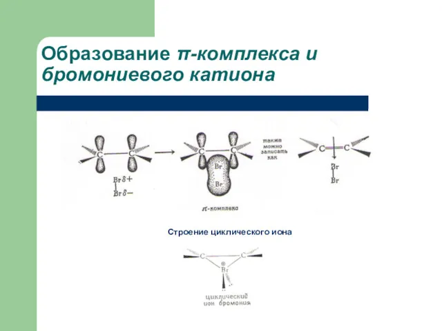 Образование π-комплекса и бромониевого катиона