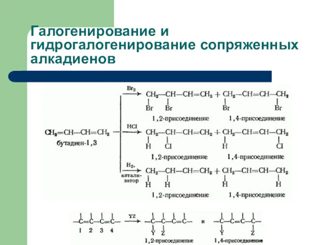 Галогенирование и гидрогалогенирование сопряженных алкадиенов