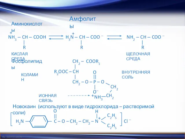 Амфолиты Аминокислоты Фосфолипиды Новокаин (используют в виде гидрохлорида – растворимой