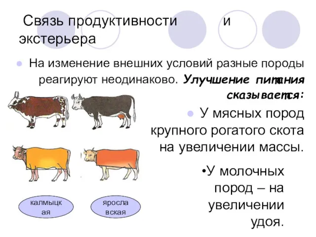 Связь продуктивности и экстерьера На изменение внешних условий разные породы