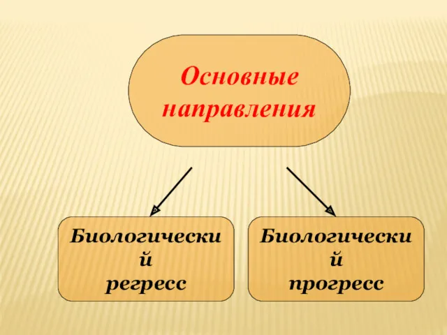 Основные направления Биологический регресс Биологический прогресс