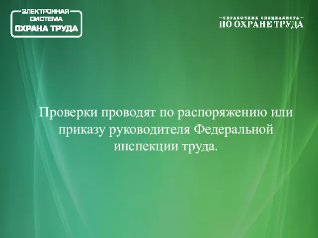 Проверки проводят по распоряжению или приказу руководителя Федеральной инспекции труда.