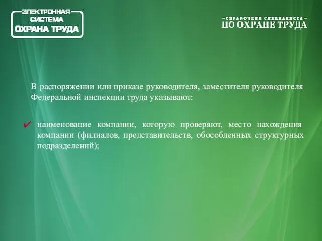 В распоряжении или приказе руководителя, заместителя руководителя Федеральной инспекции труда