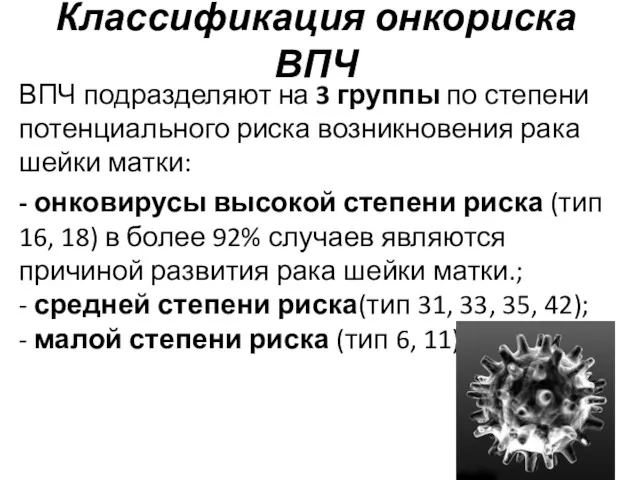 Классификация онкориска ВПЧ ВПЧ подразделяют на 3 группы по степени