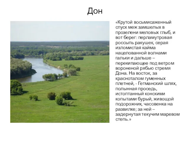 Дон «Крутой восьмисаженный спуск меж замшелых в прозелени меловых глыб,